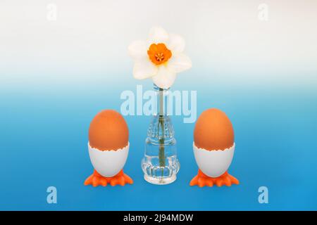 Gesunde frische Eier zum Frühstück Konzept für Frühling und Ostern mit Narzissenblume, Vase, witzigen lustigen Eierbechern, braunen gesprenkelten Eiern. Stockfoto