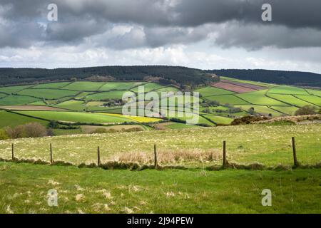 Croydon Hill aus Lype im Frühjahr im Exmoor National Park, Somerset, England. Stockfoto