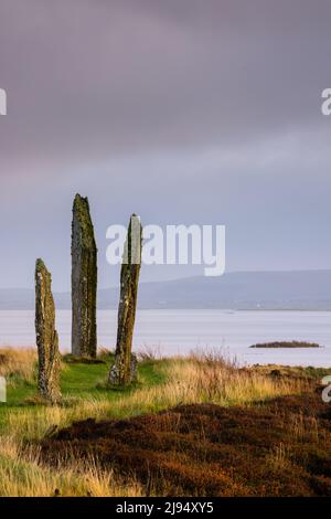 The Ring of Brodgar at Dawn, Festland, Orkney Isles, Schottland, Großbritannien Stockfoto