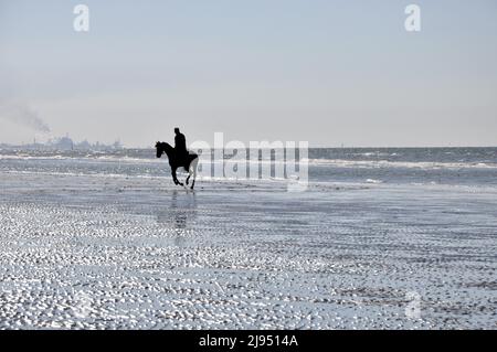 Graues Bild der belgischen Nordseeküste in De Panne, mit einer Silhouette eines Mannes auf einem Pferd und der Industrie von Dunkerque im Hintergrund Stockfoto