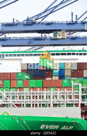 Das Containerschiff Alp dockte an und wurde im Hafen von Felixstowe, Suffolk, Großbritannien, verladen/entladen. Stockfoto