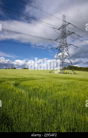 Strompylon, Bedfordshire, England, Großbritannien Stockfoto