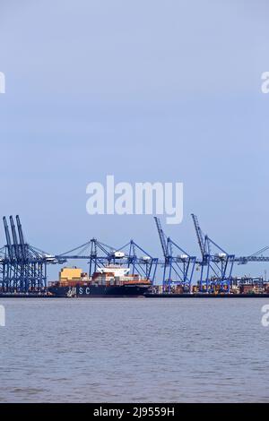 Das Containerschiff MSC Branka dockte im Hafen von Felixstowe, Suffolk, Großbritannien, an. Stockfoto