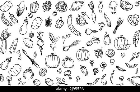 Leckeres Gemüse. Gartenfrüchte. Essbare Lebensmittelpflanzen. Handgezeichnete Umrisse. Monochrome Zeichnung. Nahtloses Muster. Isoliert auf weißem Hintergrund Stock Vektor