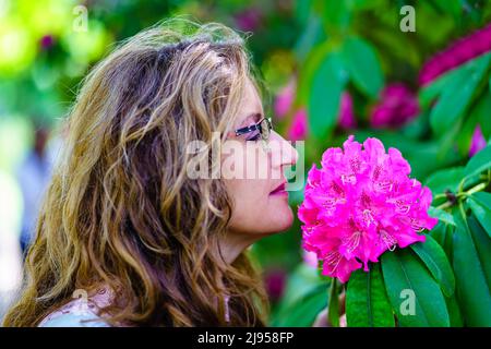 Frau riecht im Frühling eine große Blume von intensiven Farben. Stockfoto