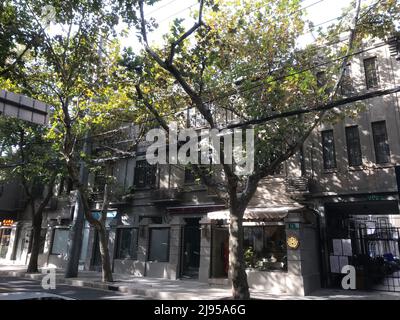 Erkundung der ehemaligen französischen Konzession in Shanghai Stockfoto