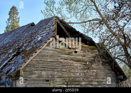 Altes Holzhaus mit gebrochenem Dach im frühen Frühjahr während des Tages in Lettland Stockfoto