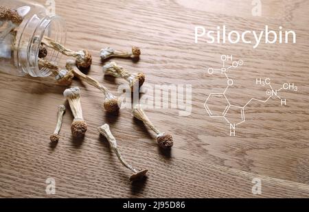 Psilocybin Pilze im Vorratsglas auf Holzoberfläche mit chemischer Formel. Psychedelischer Zauberpilz Golden Teacher. Mikrodosierkonzept. Psychotro Stockfoto