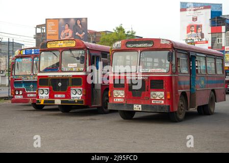 ANURADHAPURA, SRI LANKA - 05. FEBRUAR 2020: Drei Vorstadtbusse 'Lanka Ashok Leyland' auf dem Parkplatz des Busterminals an einem frühen Morgen Stockfoto
