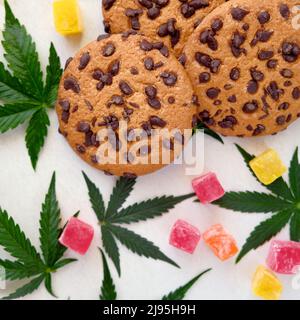 Amerikanische Cookies mit Cannabisextrakt. Süßigkeiten mit CBD-Öl. Marihuana Blätter auf weißem Hintergrund. Draufsicht, flach liegend. Stockfoto