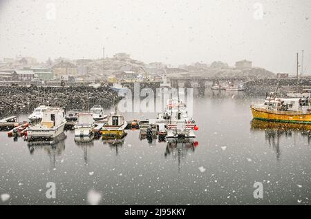 Stykkishólmur, Island, 4. Mai 2022: Ein Schneesturm im frühen Frühjahr im Hafen der Stadt Stockfoto