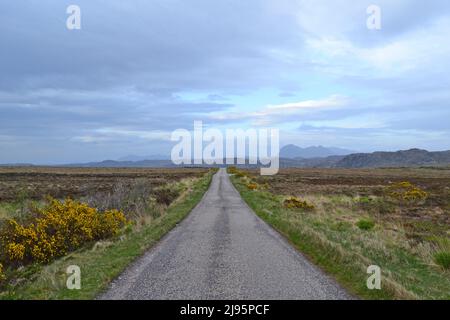 Fernansicht des Suilven Mountain, Assynt, Sutherland, NW Schottland mit einer langen geraden Straße, die darauf zeigt. Heidekraut, Ginster, wilde und einsame Landschaft Stockfoto
