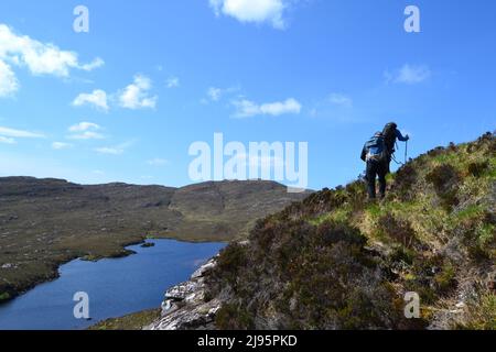 Ein Wanderer klettert über einen lachlan beim Aufstieg von Ben Mor Coigach, einem hohen Grat nördlich von Ullapool in Ross & Cromarty/Assynt Stockfoto