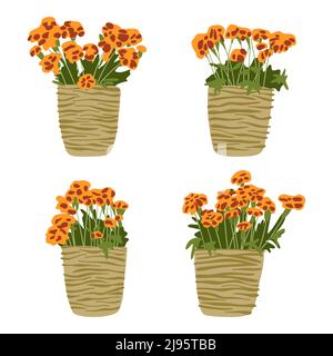 Blumen in Keramik Töpfe Set, Blüte Ringelblumen in Keramik Tassen Sammlung, Haus Pflanzen, Garten Elemente für Karten Innenarchitektur Vektor Illustration Stock Vektor
