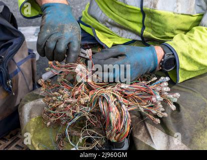 Telecom Engineers, die außerhalb von unterirdischen Telefonleitungen arbeiten, Finstown, Orkney Festland, Schottland. Stockfoto