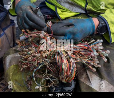 Telecom Engineers, die außerhalb von unterirdischen Telefonleitungen arbeiten, Finstown, Orkney Festland, Schottland. Stockfoto
