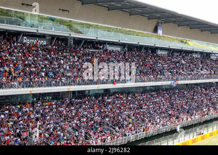 Barcelona, Spanien. 20.. Mai 2022. Fans, großer Preis von Spanien F1 auf dem Circuit de Barcelona-Catalunya am 20. Mai 2022 in Barcelona, Spanien. (Foto von HIGH TWO) Quelle: dpa/Alamy Live News Stockfoto