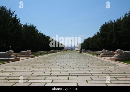 Löwenstraße in Anıtkabir. Die Löwenstatuen auf der Straße in Anıtkabir, Ankara, Türkei. Stockfoto