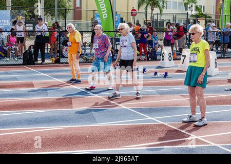 Fort Ft. Lauderdale Florida,Ansin Sports Complex Track & Field National Senior Games,Senioren Frauen Läufer Konkurrenten Frauen Frauen vor 90 und älter,sta Stockfoto