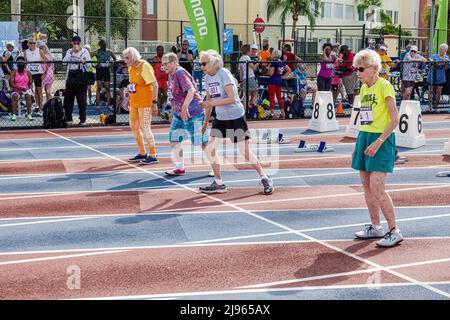 Fort Ft. Lauderdale Florida,Ansin Sports Complex Track & Field National Senior Games,Senioren Frauen Läufer Konkurrenten Frauen Frauen vor 90 und älter,sta Stockfoto