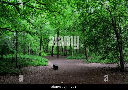 Highwood Country Park Stockfoto