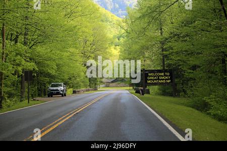 Einfahrtsstraße zum Great Smoky Mountains NP, Tennessee Stockfoto