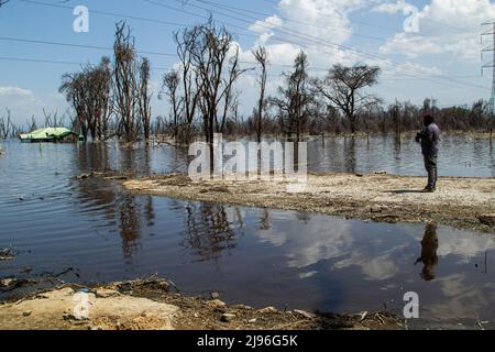 Nakuru, Kenia. 16.. Mai 2022. Ein Mann, der am Ufer des nun überfluteten Lake Nakuru stand. In den letzten 10 Jahren sind die Seen im Rift Valley stetig gestiegen, was Experten als die Auswirkungen des Klimawandels nennen. Die Überschwemmungen haben Hunderte von Menschen aus ihren Häusern und ihrer Arbeit vertrieben, die armen und marginalisierten Gemeinschaften tragen die Hauptlast davon. (Bild: © James Wakibia/SOPA Images via ZUMA Press Wire) Stockfoto