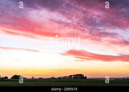 Der Morgenhimmel über der Nordsee in der Ferne mit der Landschaft von Kent im Vordergrund. Gerstenfeld und verstreute Baumgruppen, die sich am Horizont und am Meer abheben. Der Himmel ist am Horizont klar, mit Schichten rötlich-roter Wolken darüber. Stockfoto