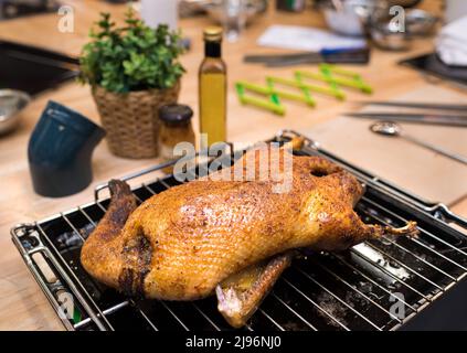 Gebackene Ente auf einem Gestell und Blech aus dem Ofen. Die gekochte Ente kühlt ab. Geröstet auf eine knackige Haut. Stockfoto