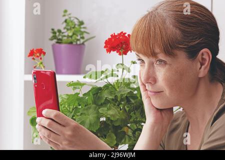 Kaukasische Frau mittleren Alters macht Selfie am Telefon oder chattet drinnen auf dem Hintergrund der Geranienblumen Stockfoto