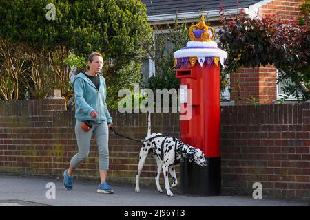 Weymouth, Dorset, Großbritannien. 21. Mai 2022. Ein Hundespaziergänger passiert eine Briefbox in Weymouth in Dorset, die zur Feier des Platin-Jubiläums der Königin mit einer gehäkelten Staatskrone geschmückt wurde. Das Platin-Jubiläum von Elisabeth II. Wird vom 2. Juni bis 5. Juni 2022 im Vereinigten Königreich und im Commonwealth zum 70.. Jahrestag des Beitritts von Königin Elizabeth II. Am 6. Februar 1952 gefeiert. Bildnachweis: Graham Hunt/Alamy Live News Stockfoto