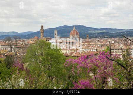 Florenz im Frühling von einem bunten Garten aus gesehen Stockfoto