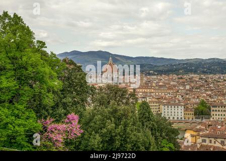 Florenz im Frühling von einem bunten Garten aus gesehen Stockfoto