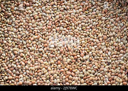 Rohes ganzes getrocknetes Pferd Gramm Stockfoto