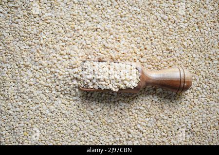 Rohe, geteilte getrocknete weiße Urad-Linsen Stockfoto