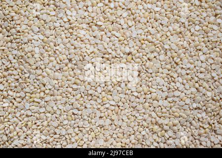 Rohe, geteilte getrocknete weiße Urad-Linsen Stockfoto