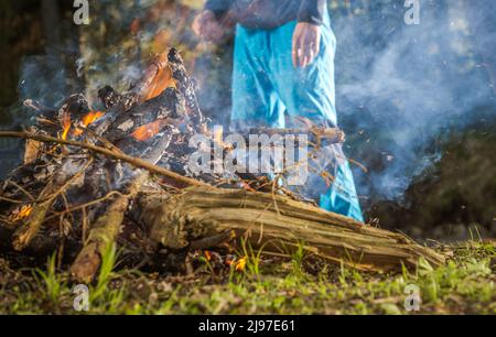 Wild Summer Time Camping Lagerfeuer in einem Wald. Brennendes Holz Nahaufnahme. Stockfoto