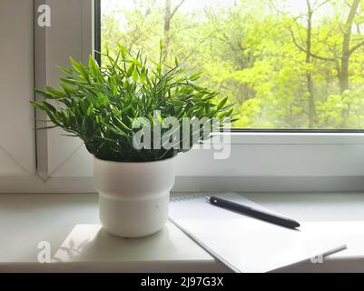 Morgen mit einer guten Aussicht vom Fenster, Notizen in einem Notizbuch für den Tag. Erfrischende Blumen im Innenbereich auf der Fensterbank Stockfoto