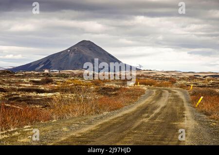 Isländische Landschaft in der Nähe des Sees Myvatn mit einer Feldstraße zwischen Büschen, die zu einigen verstreuten Bauernhöfen führt, mit dem Berg Vindbelgjarfjall im Distanc Stockfoto