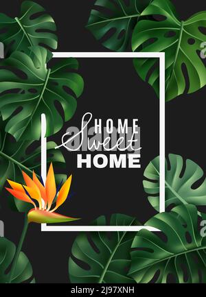 Weißer rechteckiger Rahmen mit Blume und Blättern des realistischen Hauses Pflanze Monstera auf dunklem Hintergrund Vektor-Illustration Stock Vektor