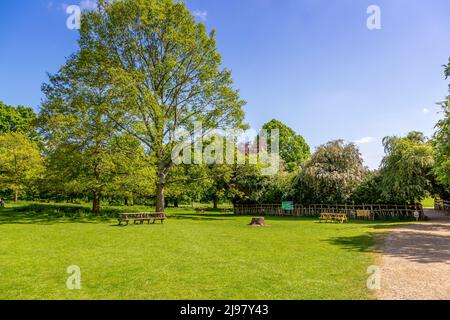 Schöner Charlecote Park in der Nähe von Stratford in Warwickshire, England. Stockfoto