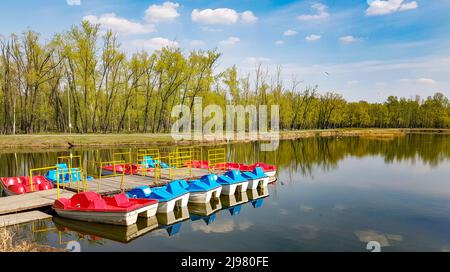 Bunte Katamarane stehen in einer Reihe am hölzernen Pier. Ruhige Oberfläche des Sees für die Wasserrekreation. Ein leerer Damm an einem frühen Frühling oder Sommer Stockfoto