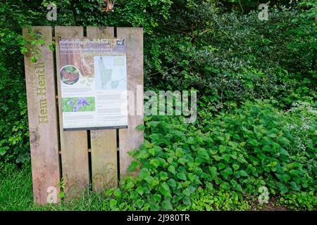 Hem Heath Woods Stockfoto