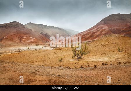Landschaft von Red Mount mit Streifen bizarre geschichtete Berge in Canyon bei Nebel bedeckt bewölkten Himmel in schönen Wüstenpark mit trockener Pflanze an der Vorgruppe Stockfoto