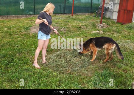 Mädchen sammelt trockenes Gras mit Gartenrechen Stockfoto