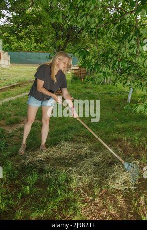 Mädchen sammelt trockenes Gras mit Gartenrechen Stockfoto