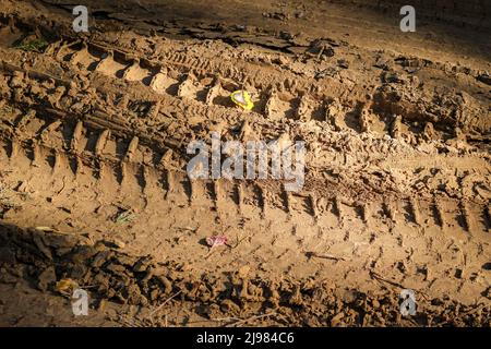 Reifenspuren im nassen Sand gedruckt. Stockfoto