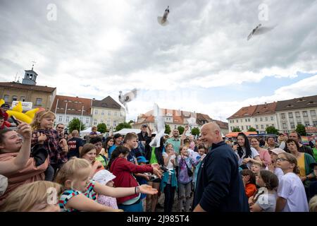 Ostritz, Deutschland. 21.. Mai 2022. 15 Tauben werden als Symbol in die Freiheit entlassen. Das Friedensfestival ist seit Jahren ein integraler Bestandteil der Gemeinschaft, um sich gegen rechtsorientierte Veranstaltungen in der Stadt zu wehren. Quelle: Daniel Schäfer/dpa/Alamy Live News Stockfoto