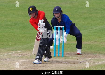 Chester le Street, England, 21. Mai 2022. Danni Wyatt, der sich auf dem Riverside Ground gegen Northern Diamonds für Southern Vipers eingesetzt hat. Credit Colin Edwards / Alamy Live News Stockfoto