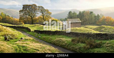 Herbstlicht bei Bell Hagg Barn Stockfoto